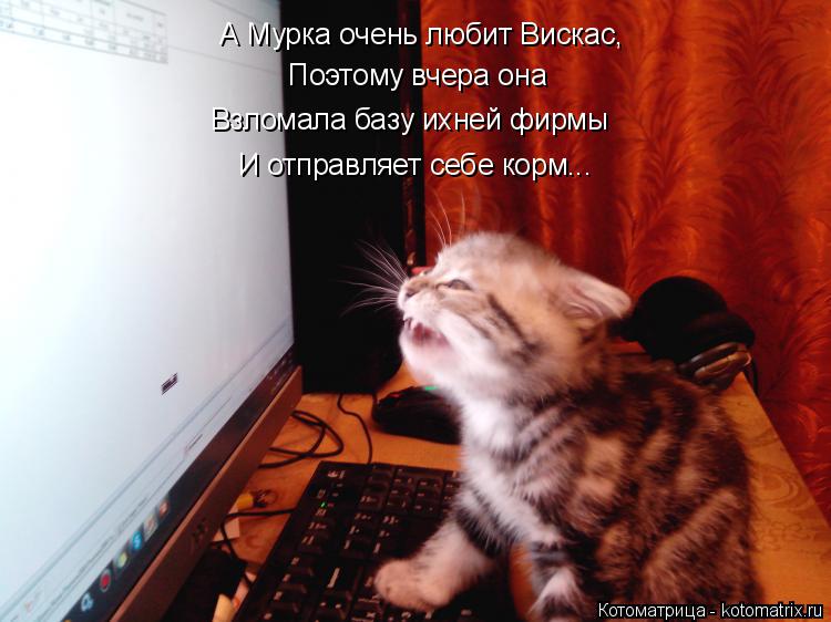 А Мурка очень любит Вискас, Поэтому вчера она Взломала базу ихней фирмы И отправляет себе корм...... Котоматрица: А Мурка очень любит Вискас, Поэтому вчера она Взломала базу ихней фирмы И отправляет себе корм...