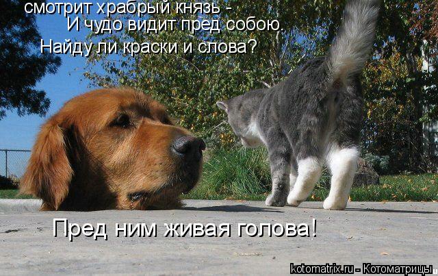 Котоматрица: смотрит храбрый князь - И чудо видит пред собою. Найду ли краски и слова? Пред ним живая голова!