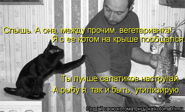 Слышь. А она, между прочим, вегетарианка! Я с ее котом на крыше пообщался. Ты лучше салатиков наструг... Котоматрица: Слышь. А она, между прочим, вегетарианка! Я с ее котом на крыше пообщался. Ты лучше салатиков настругай. А рыбу я, так и быть, утилизирую.