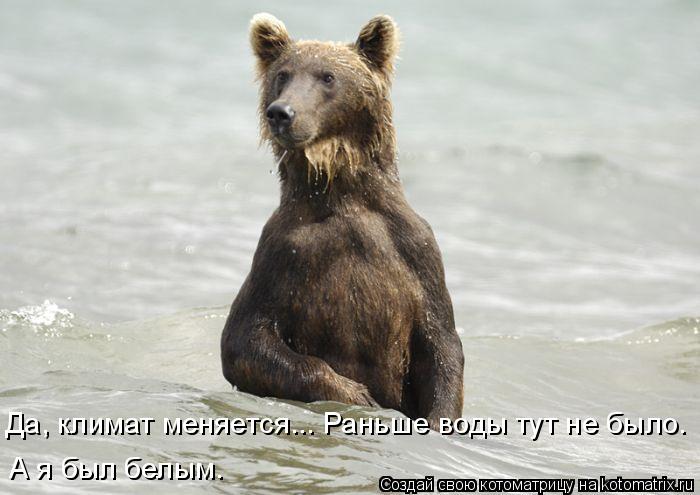 Котоматрица: Да, климат меняется... Раньше воды тут не было. А я был белым.