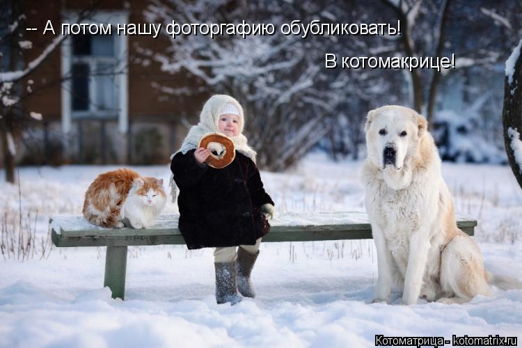 -- А потом нашу фоторгафию обубликовать! В котомакрице!... Котоматрица: -- А потом нашу фоторгафию обубликовать! В котомакрице!