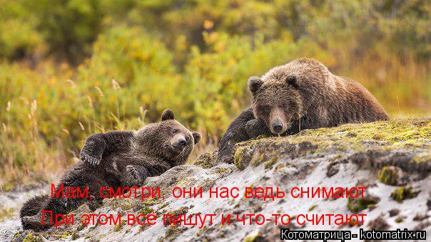 Мам, смотри, они нас ведь снимают При этом всё пишут и что-то считают .... Котоматрица: Мам, смотри, они нас ведь снимают При этом всё пишут и что-то считают .