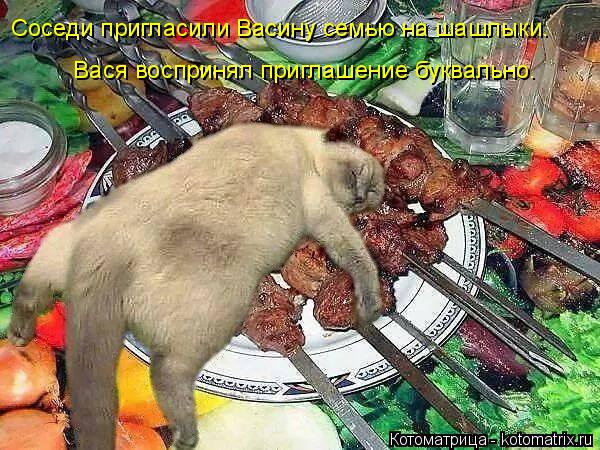 Котоматрица: Соседи пригласили Васину семью на шашлыки.  Вася воспринял приглашение буквально.