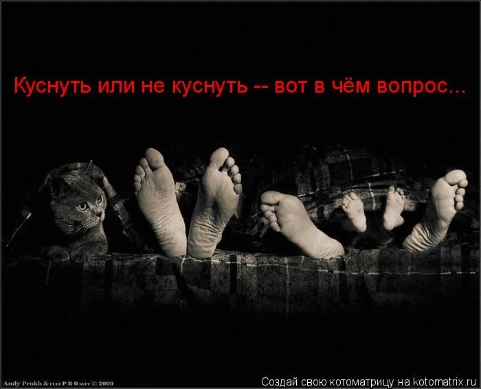 Куснуть или не куснуть -- вот в чём вопрос...... Котоматрица: Куснуть или не куснуть -- вот в чём вопрос...