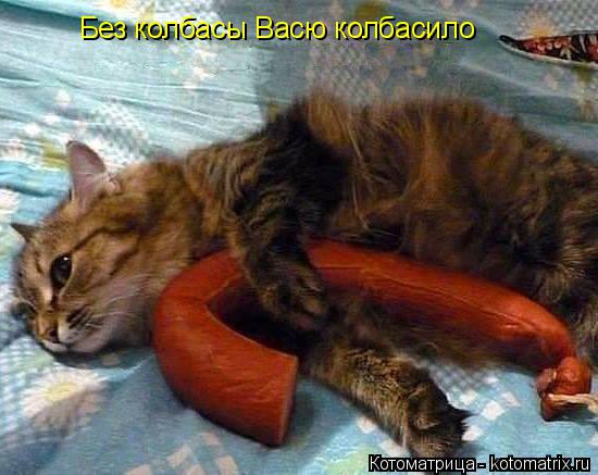 Без колбасы Васю колбасило... Котоматрица: Без колбасы Васю колбасило