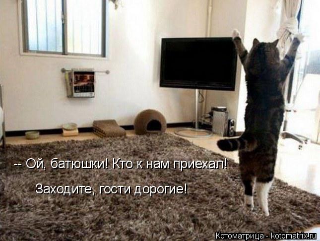 -- Ой, батюшки! Кто к нам приехал! Заходите, гости дорогие!... Котоматрица: -- Ой, батюшки! Кто к нам приехал! Заходите, гости дорогие!