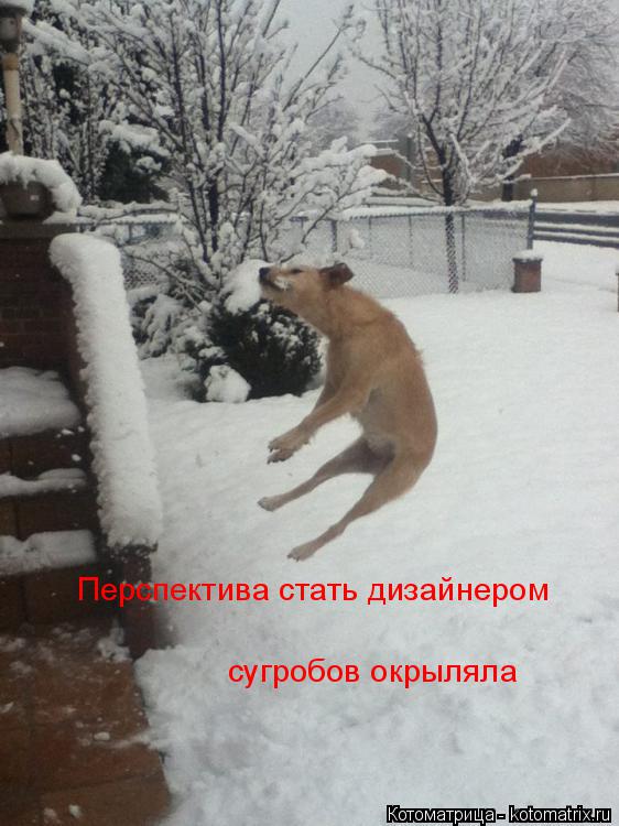 Перспектива стать дизайнером сугробов окрыляла... Котоматрица: Перспектива стать дизайнером сугробов окрыляла