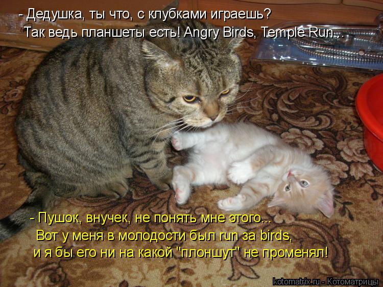 - Дедушка, ты что, с клубками играешь? Так ведь планшеты есть! Angry Birds, Temple Run... - Пушок, в... Котоматрица: - Дедушка, ты что, с клубками играешь? Так ведь планшеты есть! Angry Birds, Temple Run... - Пушок, внучек, не понять мне этого... Вот у меня в молодости был ru
