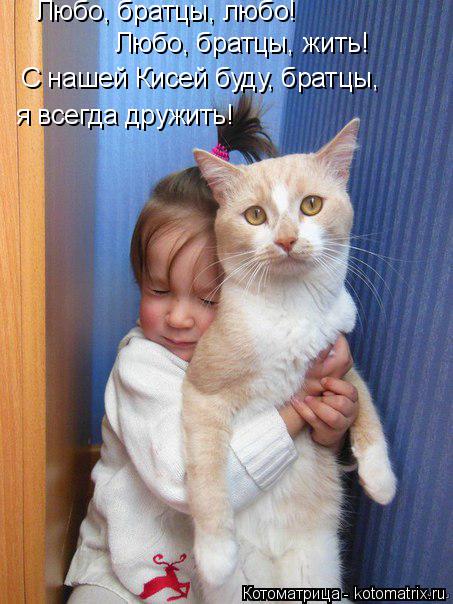 Любо, братцы, любо! Любо, братцы, жить! С нашей Кисей буду, братцы, я всегда дружить!... Котоматрица: Любо, братцы, любо! Любо, братцы, жить! С нашей Кисей буду, братцы, я всегда дружить!