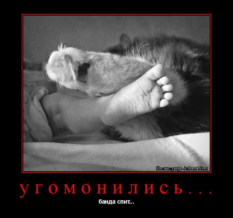 Котоматрица: угомонились... банда спит...