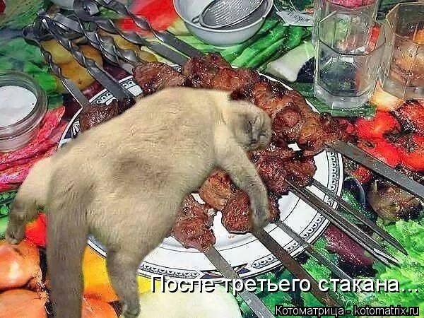 После третьего стакана...... Котоматрица: После третьего стакана...