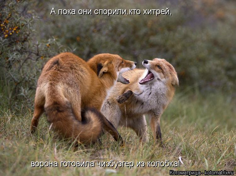 http://kotomatrix.ru/images/lolz/2016/02/02/kotomatritsa_9K.jpg