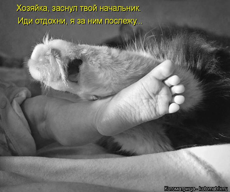 Хозяйка, заснул твой начальник. Иди отдохни, я за ним послежу...... Котоматрица: Хозяйка, заснул твой начальник. Иди отдохни, я за ним послежу...