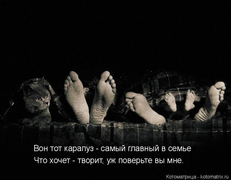 Вон тот карапуз - самый главный в семье Что хочет - творит, уж поверьте вы мне.... Котоматрица: Вон тот карапуз - самый главный в семье Что хочет - творит, уж поверьте вы мне.
