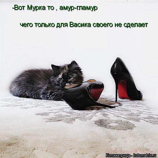 -Вот Мурка то , амур-гламур чего только для Васика своего не сделает... Котоматрица: -Вот Мурка то , амур-гламур чего только для Васика своего не сделает