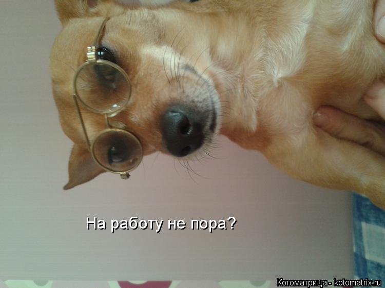 На работу не пора?... Котоматрица: На работу не пора?