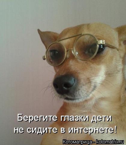 Берегите глазки дети не сидите в интернете!... Котоматрица: Берегите глазки дети не сидите в интернете!