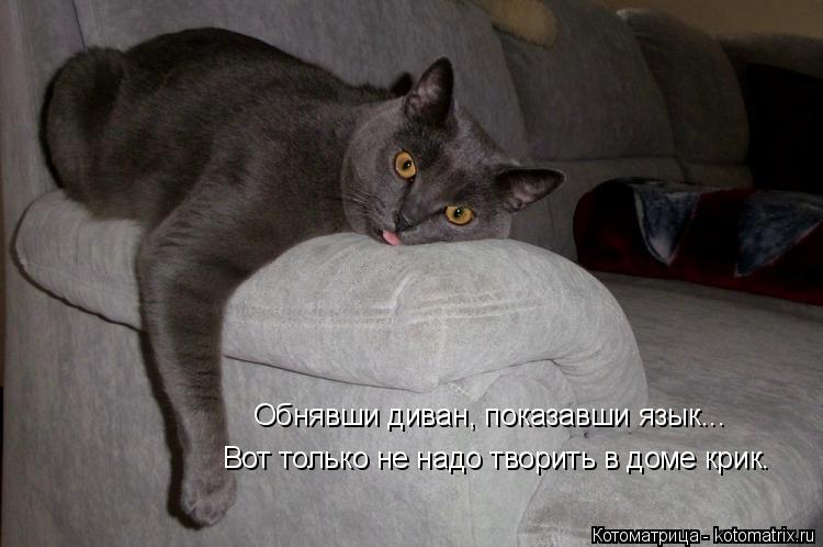 Обнявши диван, показавши язык... Вот только не надо творить в доме крик.... Котоматрица: Обнявши диван, показавши язык... Вот только не надо творить в доме крик.