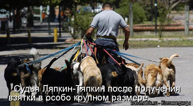Судья Ляпкин-Тяпкин после получения взятки в особо крупном размере.... Котоматрица: Судья Ляпкин-Тяпкин после получения взятки в особо крупном размере.