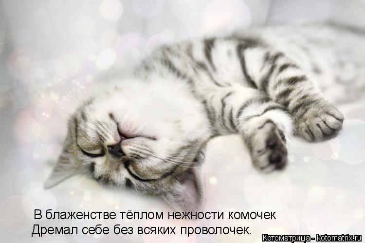 В блаженстве тёплом нежности комочек Дремал себе без всяких проволочек.... Котоматрица: В блаженстве тёплом нежности комочек Дремал себе без всяких проволочек.
