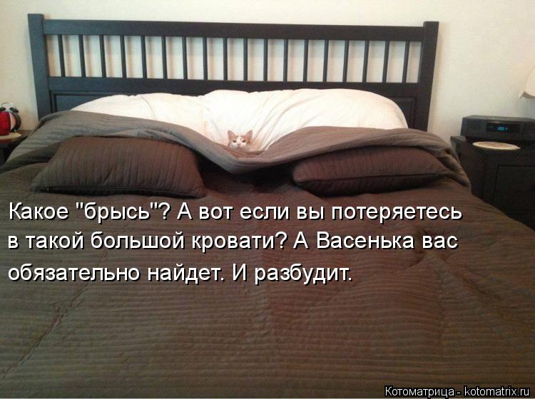 Какое "брысь"? А вот если вы потеряетесь в такой большой кровати? А Васенька вас обязательно найдет.... Котоматрица: Какое "брысь"? А вот если вы потеряетесь в такой большой кровати? А Васенька вас обязательно найдет. И разбудит.