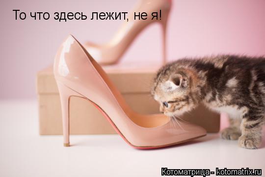 То что здесь лежит, не я!... Котоматрица: То что здесь лежит, не я!