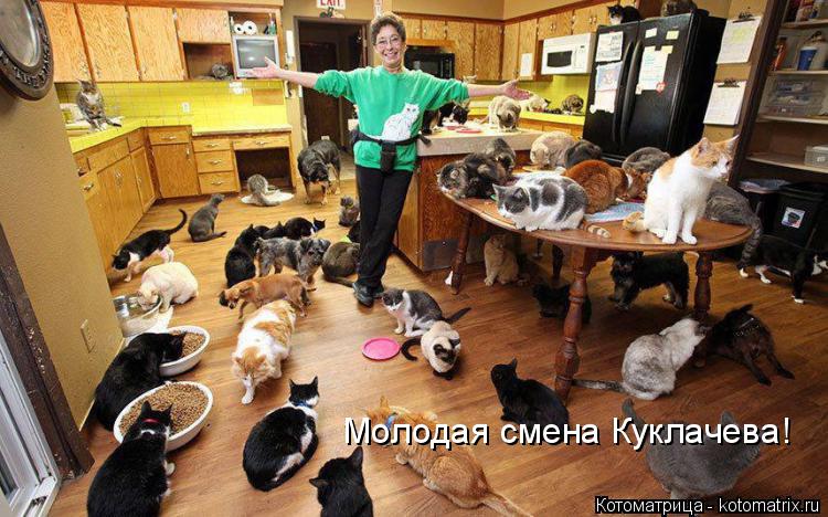 Молодая смена Куклачева!... Котоматрица: Молодая смена Куклачева!