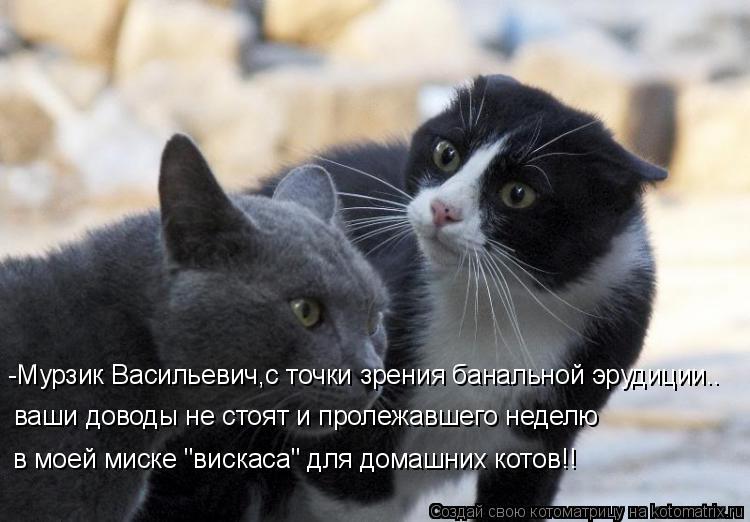 -Мурзик Васильевич,с точки зрения банальной эрудиции.. ваши доводы не стоят и пролежавшего неделю в м... Котоматрица: -Мурзик Васильевич,с точки зрения банальной эрудиции.. ваши доводы не стоят и пролежавшего неделю в моей миске "вискаса" для домашних котов!!