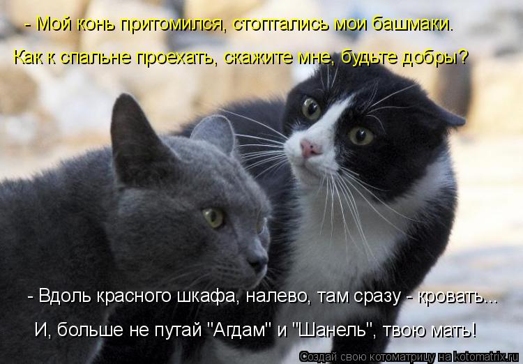 - Мой конь притомился, стоптались мои башмаки. Как к спальне проехать, скажите мне, будьте добры? - В... Котоматрица: - Мой конь притомился, стоптались мои башмаки. Как к спальне проехать, скажите мне, будьте добры? - Вдоль красного шкафа, налево, там сразу - кр