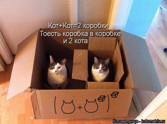 Кот+Кот=2 коробки Тоесть коробка в коробке и 2 кота... Котоматрица: Кот+Кот=2 коробки Тоесть коробка в коробке и 2 кота