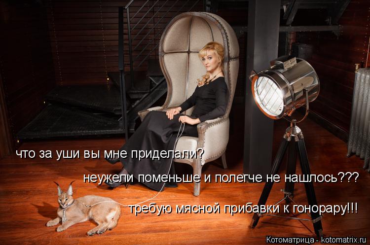 что за уши вы мне приделали? требую мясной прибавки к гонорару!!! неужели поменьше и полегче не нашло... Котоматрица: что за уши вы мне приделали? требую мясной прибавки к гонорару!!! неужели поменьше и полегче не нашлось???