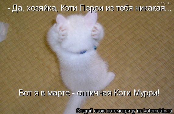 - Да, хозяйка, Кэти Перри из тебя никакая... Вот я в марте - отличная Коти Мурри!... Котоматрица: - Да, хозяйка, Кэти Перри из тебя никакая... Вот я в марте - отличная Коти Мурри!