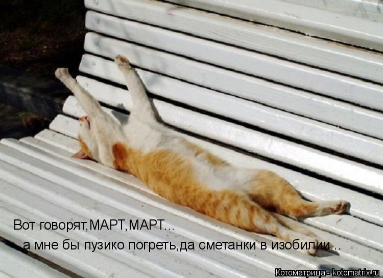 Вот говорят,МАРТ,МАРТ... а мне бы пузико погреть,да сметанки в изобилии...... Котоматрица: Вот говорят,МАРТ,МАРТ... а мне бы пузико погреть,да сметанки в изобилии...