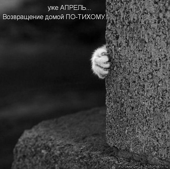 уже АПРЕЛЬ... Возвращение домой ПО-ТИХОМУ...... Котоматрица: уже АПРЕЛЬ... Возвращение домой ПО-ТИХОМУ...