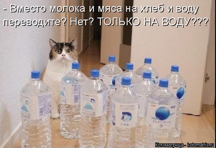 - Вместо молока и мяса на хлеб и воду переводите? Нет? ТОЛЬКО НА ВОДУ???... Котоматрица: - Вместо молока и мяса на хлеб и воду переводите? Нет? ТОЛЬКО НА ВОДУ???