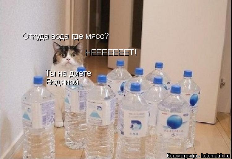 Откуда вода где мясо? Ты на диете Водяной НЕЕЕЕЕЕЕТ!... Котоматрица: Откуда вода где мясо? Ты на диете Водяной НЕЕЕЕЕЕЕТ!
