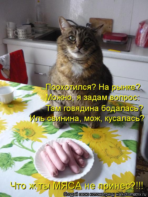 Поохотился? На рынке? Можно, я задам вопрос: Там говядина бодалась? Иль свинина, мож, кусалась? Что ж... Котоматрица: Поохотился? На рынке? Можно, я задам вопрос: Там говядина бодалась? Иль свинина, мож, кусалась? Что ж ты МЯСА не принес?!!!