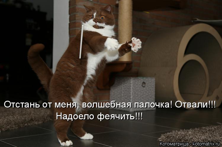 Отстань от меня, волшебная палочка! Отвали!!! Надоело феячить!!!... Котоматрица: Отстань от меня, волшебная палочка! Отвали!!! Надоело феячить!!!