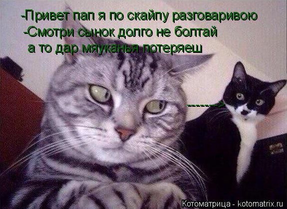 -Привет пап я по скайпу разговаривою -Смотри сынок долго не болтай а то дар мяуканья потеряеш -------... Котоматрица: -Привет пап я по скайпу разговаривою -Смотри сынок долго не болтай а то дар мяуканья потеряеш ------->