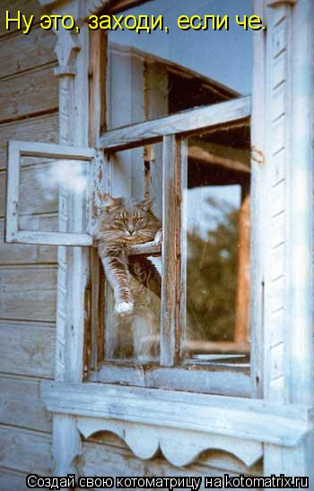 Ну это, заходи, если че.... Котоматрица: Ну это, заходи, если че.