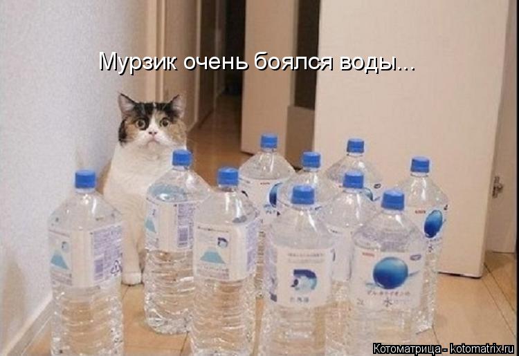 Мурзик очень боялся воды...... Котоматрица: Мурзик очень боялся воды...