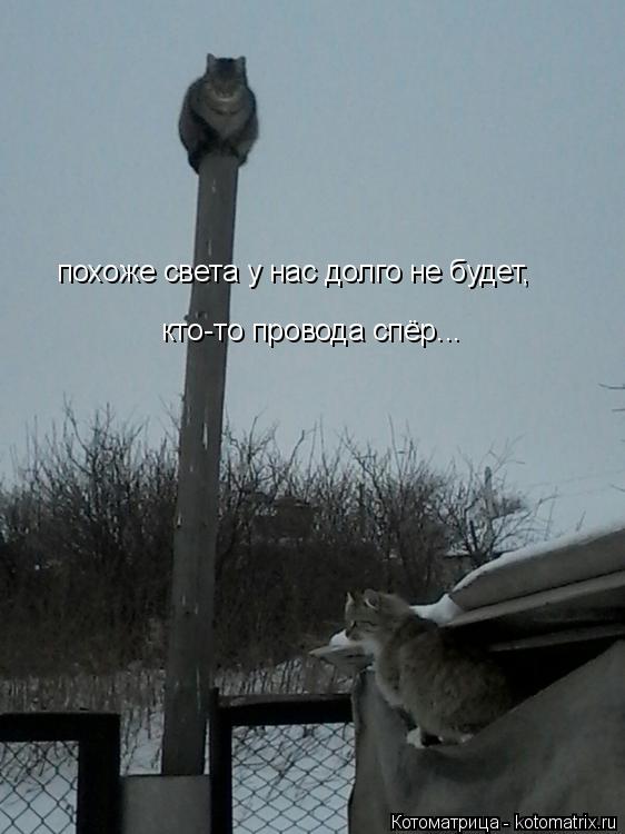 похоже света у нас долго не будет, кто-то провода спёр...... Котоматрица: похоже света у нас долго не будет, кто-то провода спёр...