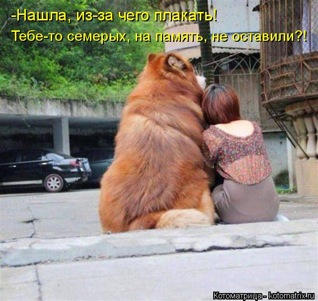 -Нашла, из-за чего плакать! Тебе-то семерых, на память, не оставили?!... Котоматрица: -Нашла, из-за чего плакать! Тебе-то семерых, на память, не оставили?!