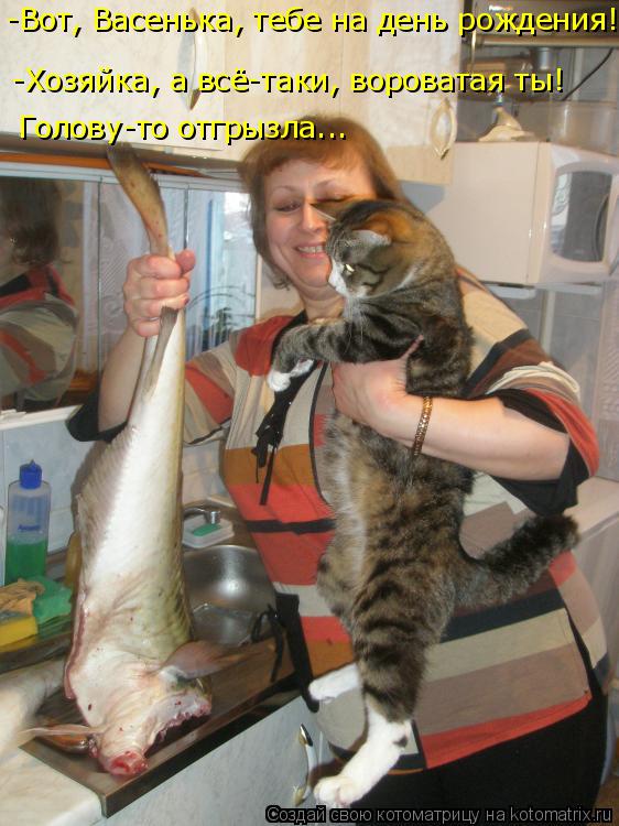 -Вот, Васенька, тебе на день рождения! Голову-то отгрызла... -Хозяйка, а всё-таки, вороватая ты!... Котоматрица: -Вот, Васенька, тебе на день рождения! Голову-то отгрызла... -Хозяйка, а всё-таки, вороватая ты!