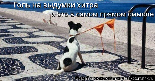 Голь на выдумки хитра и это в самом прямом смысле.... Котоматрица: Голь на выдумки хитра и это в самом прямом смысле.