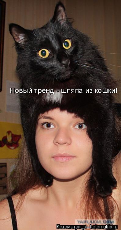 Новый тренд - шляпа из кошки!... Котоматрица: Новый тренд - шляпа из кошки!