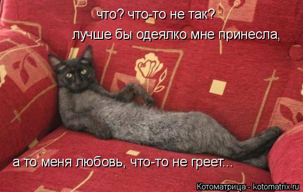 что? что-то не так? лучше бы одеялко мне принесла, а то меня любовь, что-то не греет...... Котоматрица: что? что-то не так? лучше бы одеялко мне принесла, а то меня любовь, что-то не греет...
