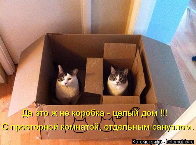 Да это ж не коробка - целый дом !!! С просторной комнатой, отдельным санузлом.... Котоматрица: Да это ж не коробка - целый дом !!! С просторной комнатой, отдельным санузлом.