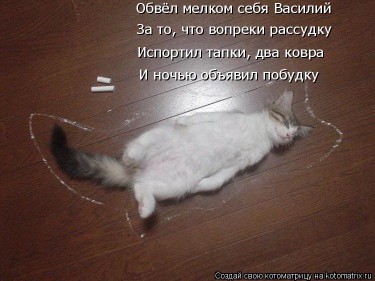Обвёл мелком себя Василий За то, что вопреки рассудку Испортил тапки, два ковра И ночью объявил побуд... Котоматрица: Обвёл мелком себя Василий За то, что вопреки рассудку Испортил тапки, два ковра И ночью объявил побудку