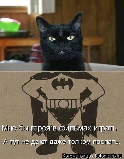 Мне бы героя в фильмах играть А тут не дают даже толком поспать.... Котоматрица: Мне бы героя в фильмах играть А тут не дают даже толком поспать.
